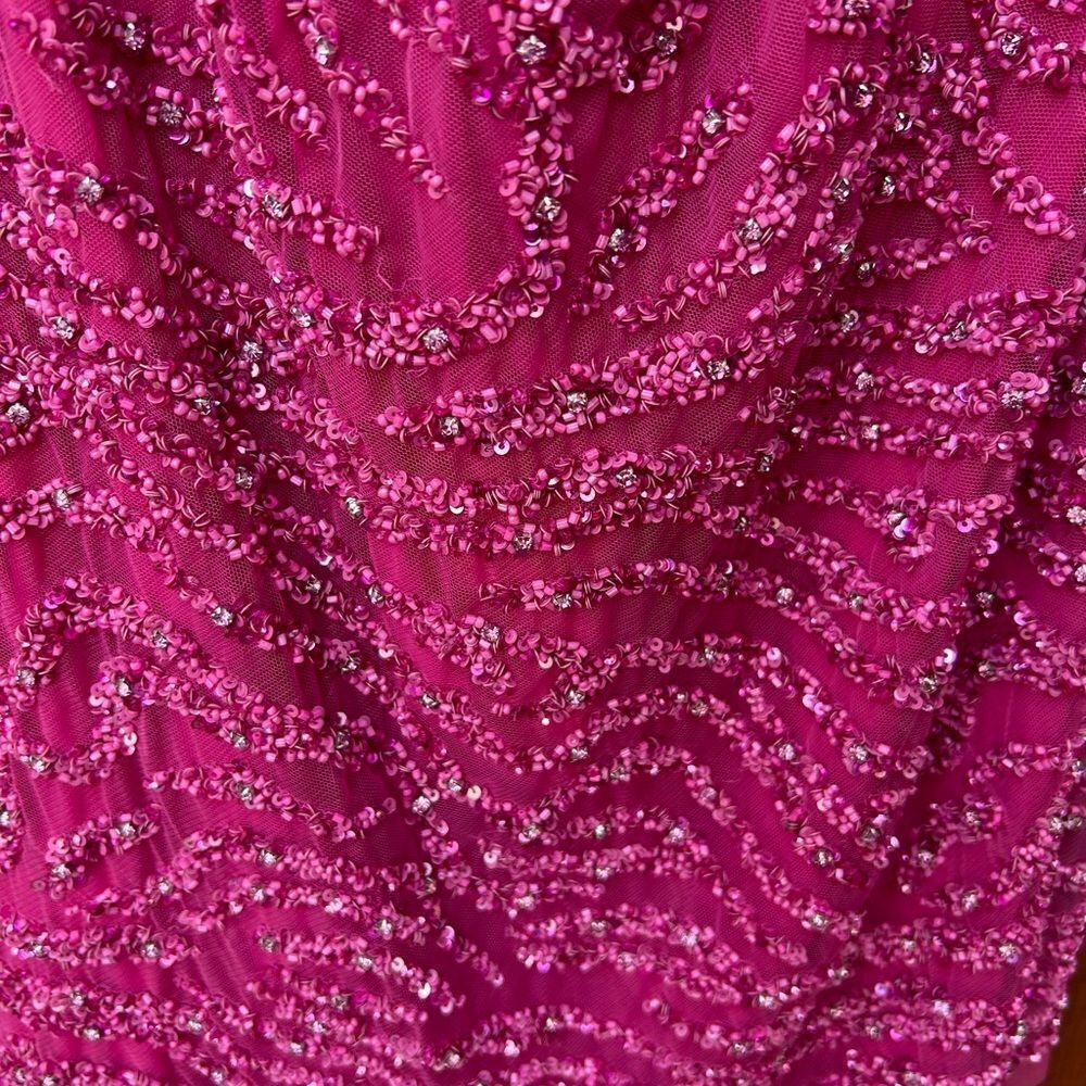 Retrofete Mich Fuchsia Rose Pink Tiger Stripe Sequin Dress NWT size XS - Picture 9 of 12